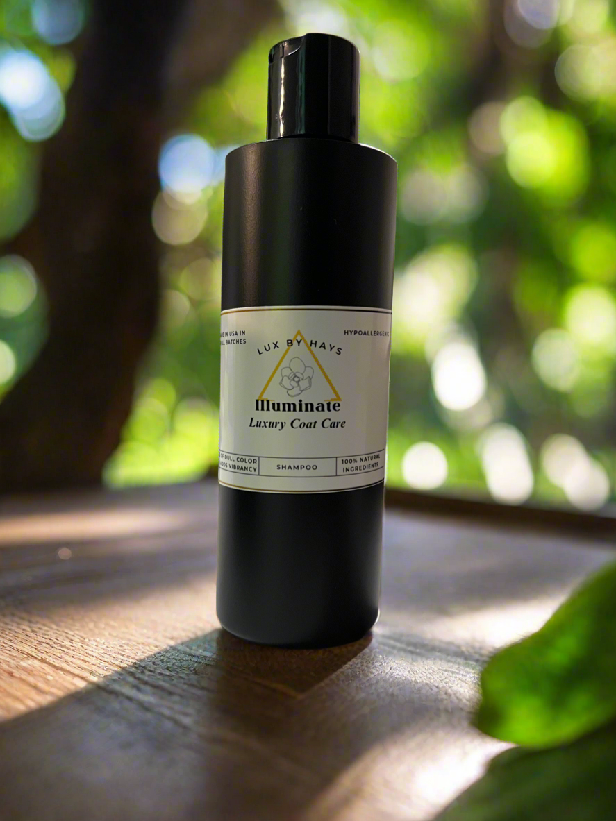 Illuminate Shampoo