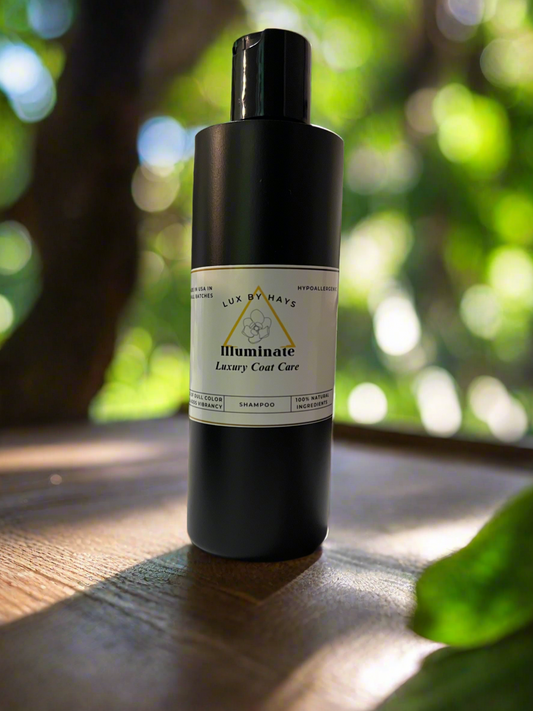 Illuminate Shampoo